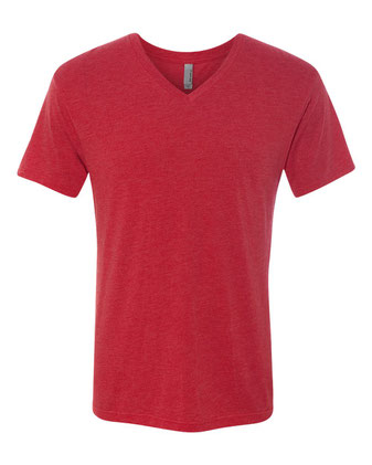 Next Level Triblend V-Neck T-Shirt 6040