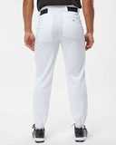 Baseball Pants