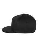 Pro-Baseball On Field Cap