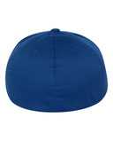Pro-Baseball On Field Cap