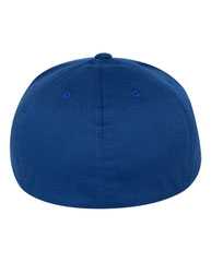 Pro-Baseball On Field Cap