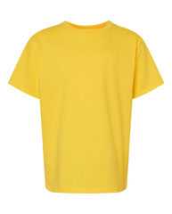 Softstyle® Youth Midweight T-Shirt
