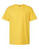 Softstyle® CVC T-Shirt