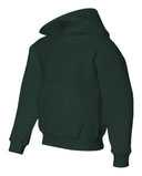 NuBlend® Youth Hooded Sweatshirt