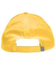 Pitch Performance Cap
