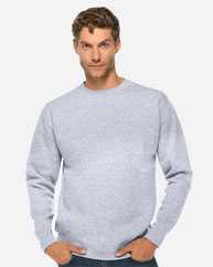 Premium Crewneck Sweatshirt