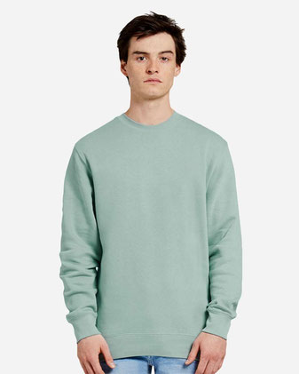 Premium Crewneck Sweatshirt