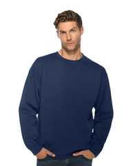 Premium Crewneck Sweatshirt