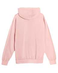 Urban Pullover Hooded Sweatshirt