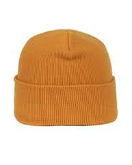 Cuffed Beanie