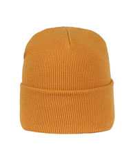 Cuffed Beanie