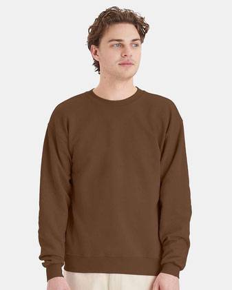 Hanes Ecosmart® Crewneck Sweatshirt P160