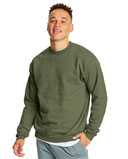 Hanes Ecosmart® Crewneck Sweatshirt P160