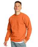 Hanes Ecosmart® Crewneck Sweatshirt P160