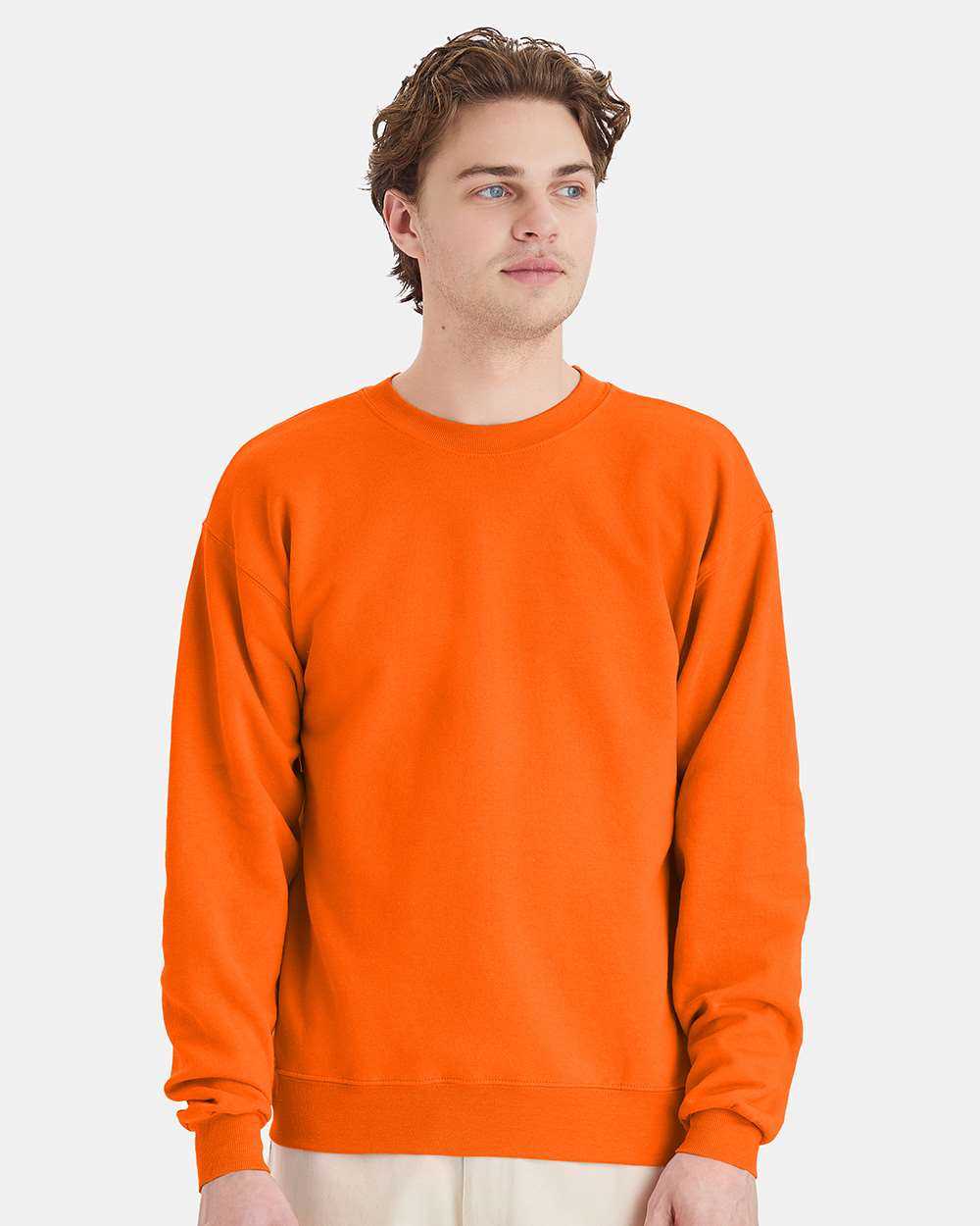 Hanes Ecosmart® Crewneck Sweatshirt P160
