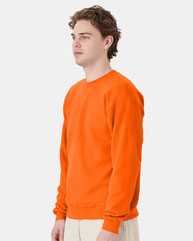 Ecosmart® Crewneck Sweatshirt