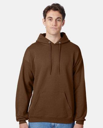 Hanes Ecosmart® Hooded Sweatshirt P170