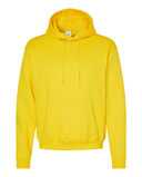 Ecosmart® Hooded Sweatshirt