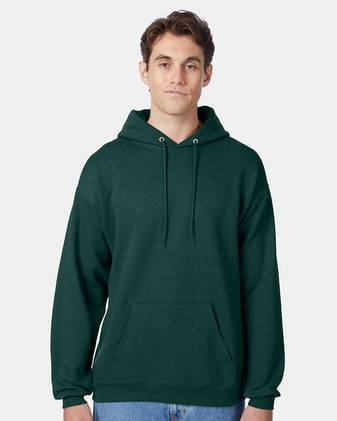 Hanes Ecosmart® Hooded Sweatshirt P170