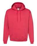 Ecosmart® Hooded Sweatshirt