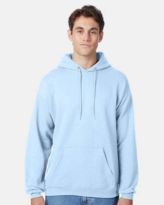 Hanes Ecosmart® Hooded Sweatshirt P170