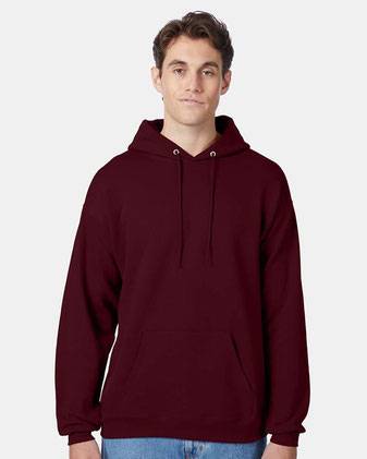 Hanes Ecosmart® Hooded Sweatshirt P170