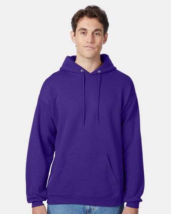 Hanes Ecosmart® Hooded Sweatshirt P170