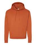 Ecosmart® Hooded Sweatshirt