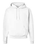 Hanes Ecosmart® Hooded Sweatshirt P170