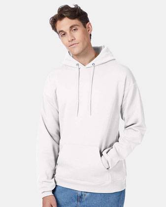 Hanes Ecosmart® Hooded Sweatshirt P170