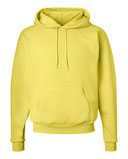 Ecosmart® Hooded Sweatshirt