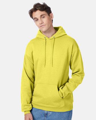 Hanes Ecosmart® Hooded Sweatshirt P170