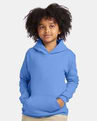 Ecosmart® Youth Hooded Sweatshirt