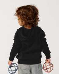 Toddler Special Blend Hooded Raglan Sweatshirt