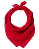 ValuMask Bandana