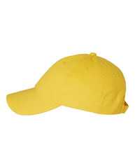 Adult Bio-Washed Classic Dad Hat