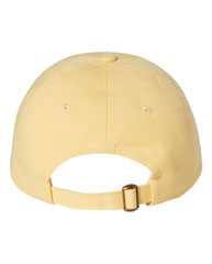 Adult Bio-Washed Classic Dad Hat