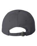 Adult Bio-Washed Classic Dad Hat