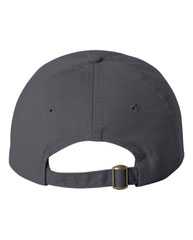 Adult Bio-Washed Classic Dad Hat