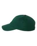 Adult Bio-Washed Classic Dad Hat
