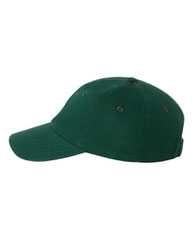 Adult Bio-Washed Classic Dad Hat