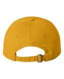 Adult Bio-Washed Classic Dad Hat