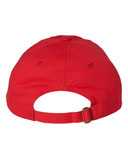 Adult Bio-Washed Classic Dad Hat