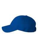 Adult Bio-Washed Classic Dad Hat
