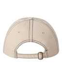 Adult Bio-Washed Classic Dad Hat