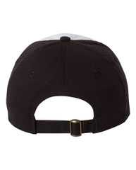 Adult Bio-Washed Classic Dad Hat