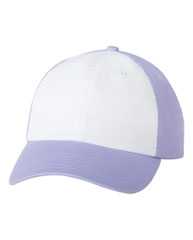 Adult Bio-Washed Classic Dad Hat