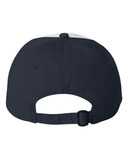 Adult Bio-Washed Classic Dad Hat