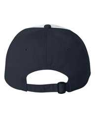 Adult Bio-Washed Classic Dad Hat