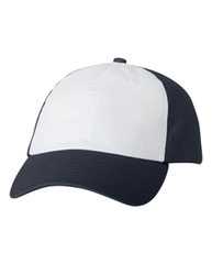 Adult Bio-Washed Classic Dad Hat